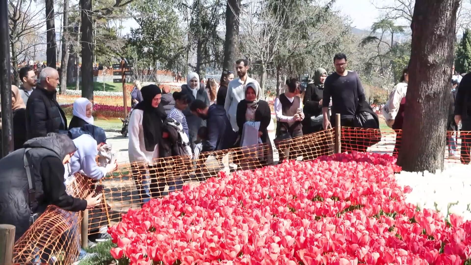 I S T A N B U L D A L A L E Z A M A N I T A R I H I P A R K V E 1247012 370751