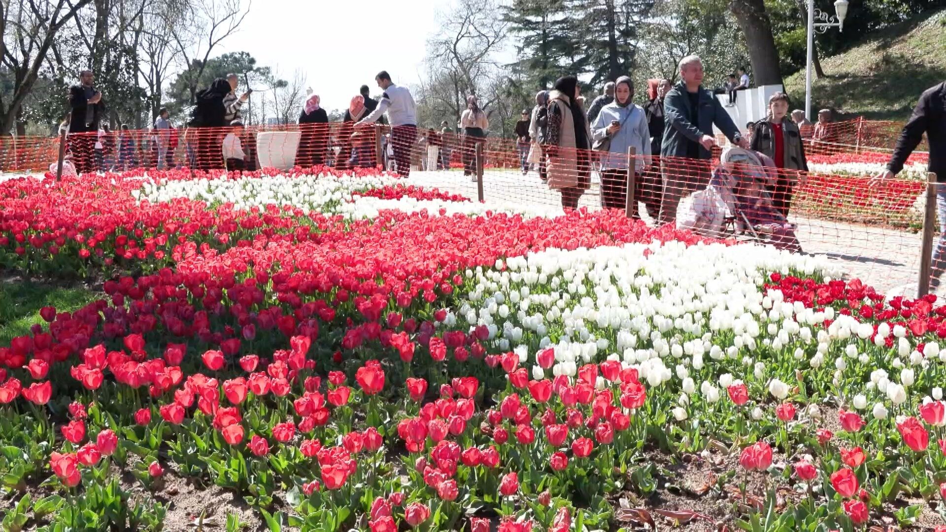 I S T A N B U L D A L A L E Z A M A N I T A R I H I P A R K V E 1246166 370751